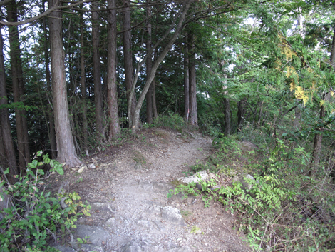 20151014hike (273)